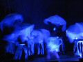 rhythmical2005160.jpg